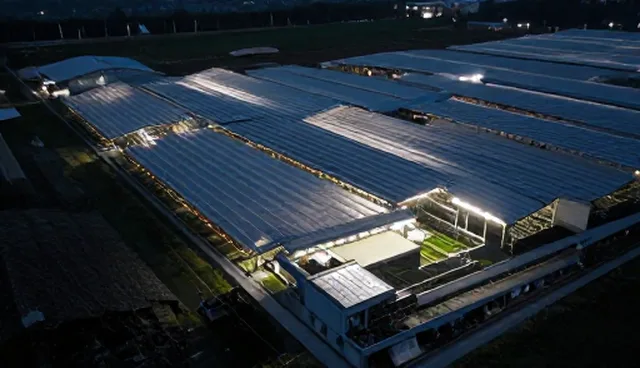 如何通过市场反馈优化品牌策划方案